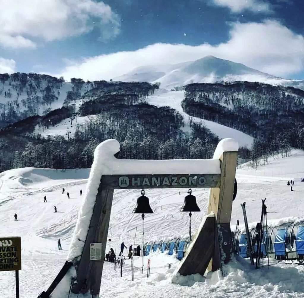 c81ab819 1825 4007 8b80 3e12dbe73c07 1763452280728565985 origin~tplv a9rns2rl98 image qvalue